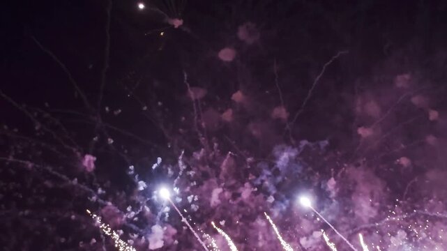 Fireworks celebrate in the sky