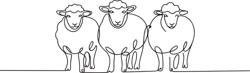 Single continuous line drawing of three sheeps lining up. Muslim holiday the sacrifice an animal to God, Eid al Adha greeting card concept. one line Icon drawing