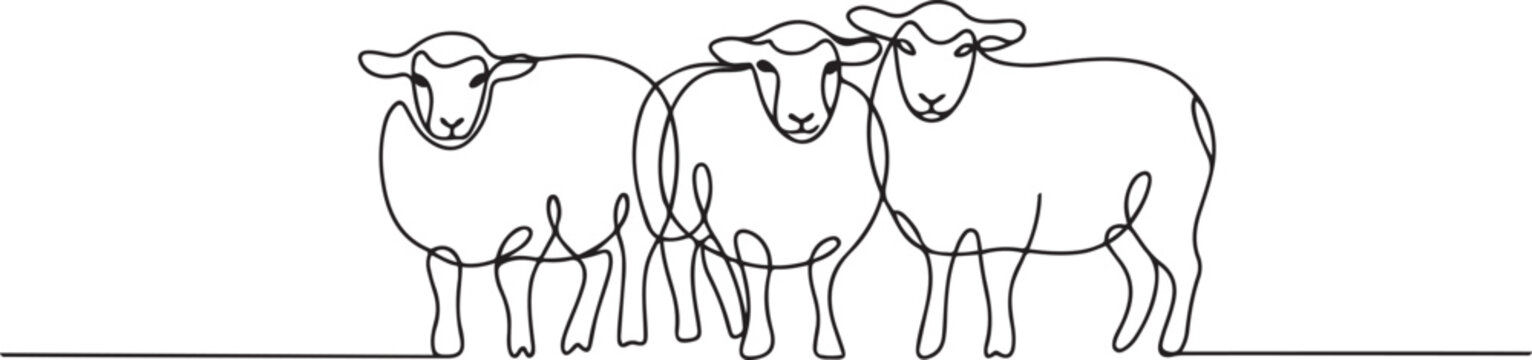 Single continuous line drawing of three sheeps lining up. Muslim holiday the sacrifice an animal to God, Eid al Adha greeting card concept. one line Icon drawing