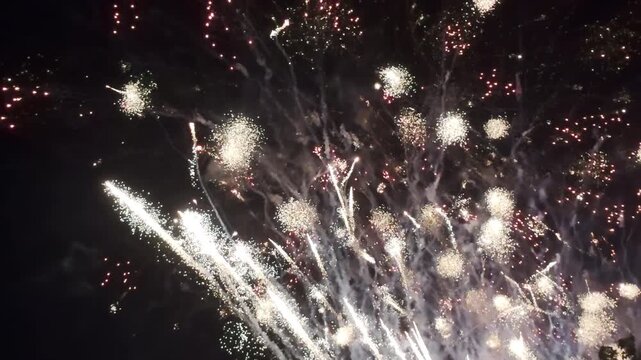 Fireworks celebrate in the sky