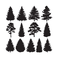 Fototapeta premium Pine and Coniferous Tree Silhouettes Collection