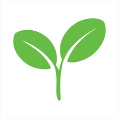 A vibrant green sprout with two rounded leaves symbolizing new growth