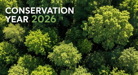 Aerial View of Lush Green Forest Canopy Promoting Conservation Year 2026 Initiative