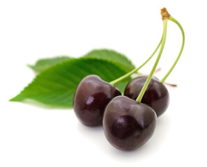 Three ripe dark red cherries with green leaves isolated on white