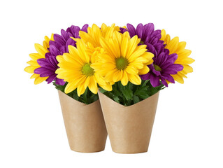 Two paper cups filled with vibrant yellow and purple daisy flowers, arranged together, create cheerful and fresh floral display, perfect for spring or summer decoration, evoking happiness