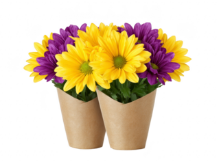 Two paper cups filled with vibrant yellow and purple daisy flowers, arranged together, create cheerful and fresh floral display, perfect for spring or summer decoration, evoking happiness