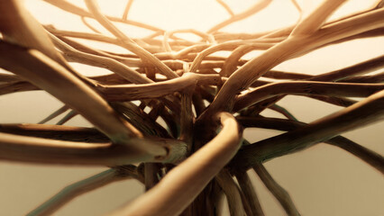 Abstract Branching Network