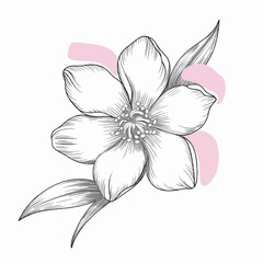 Obraz premium vector illustration of a flower