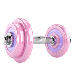 A pink dumbbell with a silver handle