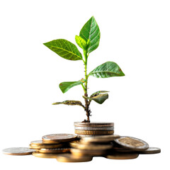 A small plant grows from a stack of coins