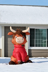Christmas Bull by the House