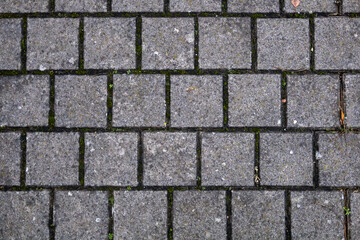 Naklejka premium Gray stone paving blocks with moss between tiles, sidewalk pavement texture, top view background.