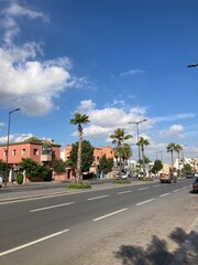 Obraz premium street with palm trees