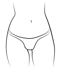 Woman swimsuit bikini panties hand drawn