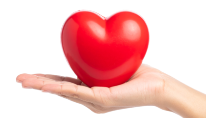 Red heart in woman hand isolated on a transparent background.