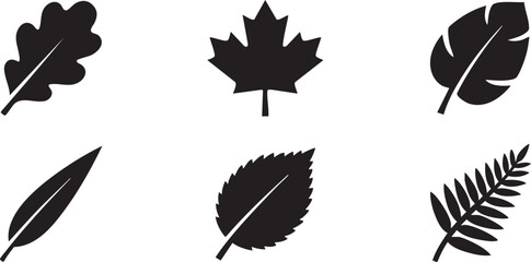 Six Black Silhouette Leaf Oak Maple Tropical Fern Willow Mint