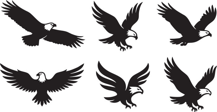 Six black silhouette eagles in various flying poses on white background bird