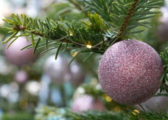 Spruce tree with christmas balls on branches.