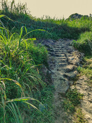 A path along a rocky mountain slope covered in grass