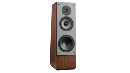 Tall Wooden Floor Speaker with Silver Front Panel in Modern Audio Setup