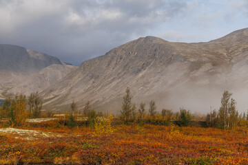 A Picturesque Mountain Valley Under a Stormy Sky with Autumn Colors and a Rare Forest Against a Mountainous Landscape
