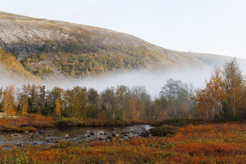Autumn Mist Over Mountain Valley With Foggy Trees And Calm Stream