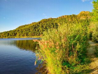 tranquil beauty of a mountain lake in Karkaraly, Kazakhstan. Lush pine forests and rocky peaks. Nature landscape of Central Asia for travel brochures, environmental editorials, peaceful backgrounds.