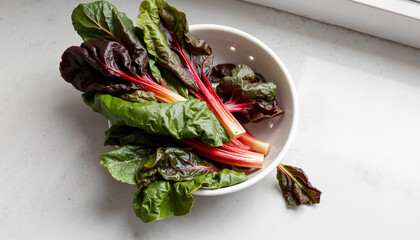 Fresh Swiss chard leaves in white bowl on marble countertop  