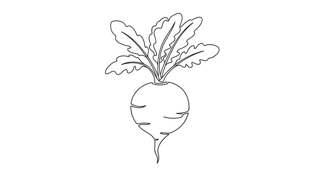 Root vegetable, possibly a beet or turnip, drawn in a continuous single black line, minimalist food art on a white background.