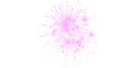 Vibrant pink fireworks light up the dark night sky a spectacular display for celebrations festive events joyful holidays