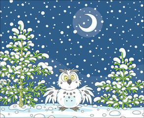 Funny white polar owl with spread wings in a snow-covered forest glade among snowy firs on a winter moonlit night, vector cartoon illustration