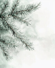 Translucent spruce branches, watercolor christmas background with pastel shades colors. Watercolor illustration, frame for postcard.