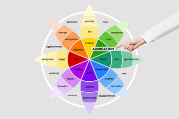Emotion of admiration. Wheel of emotions. Female hand points to the word admiration