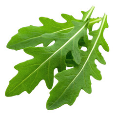 A close-up macro shot of three vibrant green arugula leaves against a solid black background.