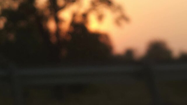 Blurred defocused Right side car window view of trees and hills during sunset, highlighting motion, travel, and tranquil natural scenery with glowing sunlight.
