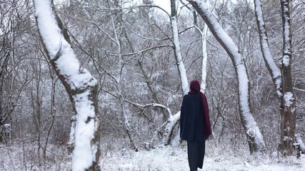 A woman in a blue coat and burgundy scarf walking away from the camera through a snowy forest during gentle snowfall, creating a calm and peaceful winter mood.
