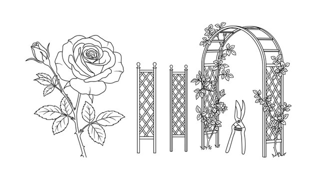 Intricate floral garden elements: black and white rose, trellis, and archway