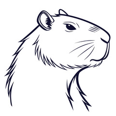 Capybara Line Art Illustration