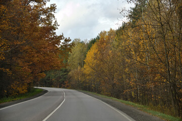 Obraz premium An asphalt road runs through an autumn forest on a cloudy day.
