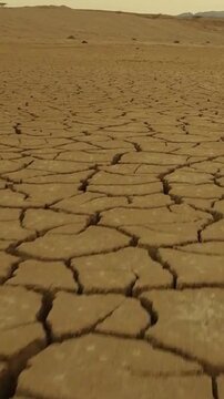 Cracked Desert Earth on Dry Lakebed