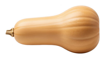 Ripe butternut squash ready for culinary creations delicious and nutritious fall harvest vegetable transparent background black background