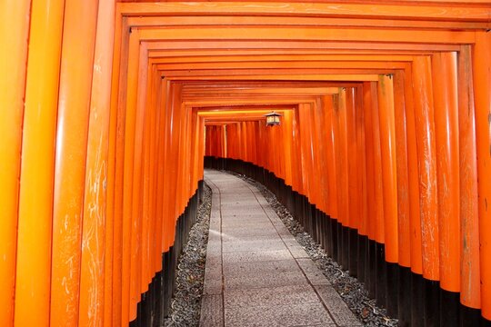 I torii di Kyoto