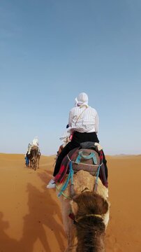 Serene camel ride through the golden sands of the Sahara Desert, showcasing a group journeying amidst the expansive dunes under clear skies, vertical video