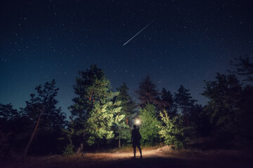 Silhouette of a person with a flashlight in a night forest under a starry sky and a shooting star. Atmospheric night landscape with a sense of adventure, solitude, and wonder.