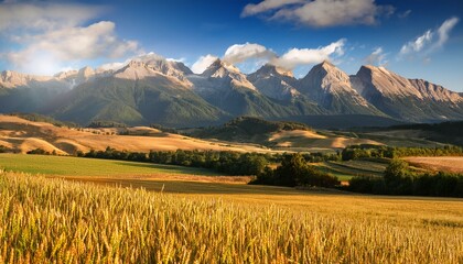 Fields Against Mountains
