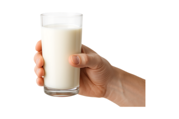 Natural Dark Stone Rock Fragment Isolated on a Transparent Background