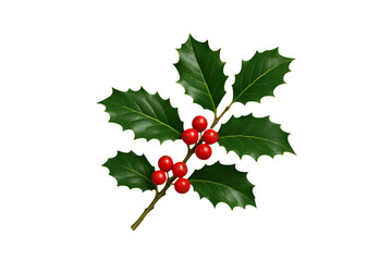 Green Holly Leaves with Red Berries Isolated on a Transparent Background