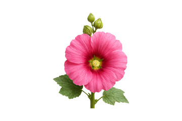 Natural Dark Stone Rock Fragment Isolated on a Transparent Background