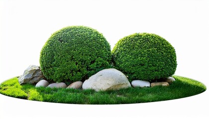 green shrubs with rocks on grass on a white background