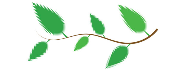 Green leaves with jagged edges on a brown winding branch, botanical vector illustration